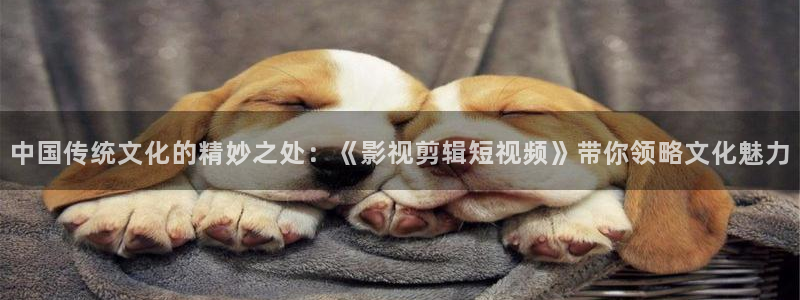 好好看影院